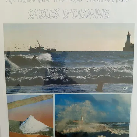 게스트하우스 Et Salle D'eau Dans Dependance 20 M2, Velos Les Sables-dʼOlonne